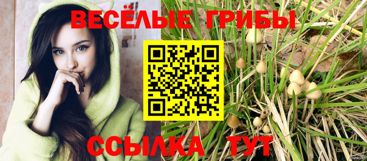 Звенигород  Галлюциногенные грибы ЛСД  Вход с VPN  Галлюциногенные грибы мухоморы 